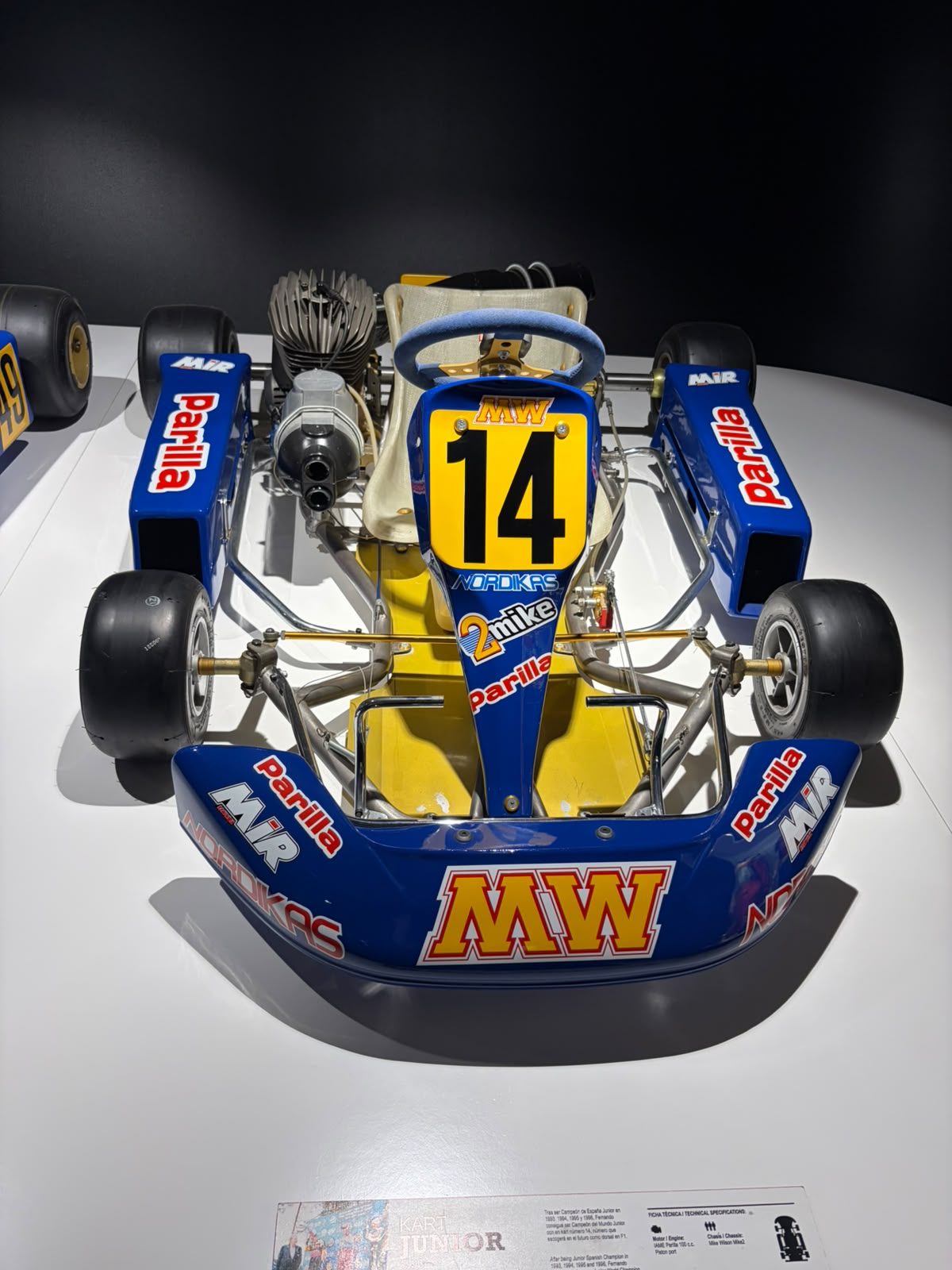 Kart número 14 de Fernando Alonso